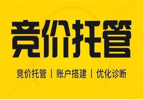 做百度竞价托管不专业，一步就位教你这样做